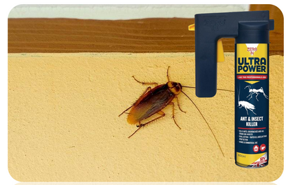 Zero In Ultra Power | Professional Ant & Insect Killer |  HSE Approved | 600ml