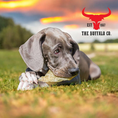 The Buffalo Co: Buffalo Ears 10 Pack | 100% Natural | High Protein, Low Fat Treats