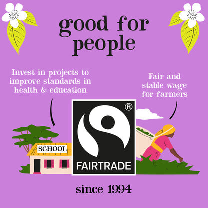 Clipper Fairtrade Everyday Blend 250 Teabags | Unbleached Eco Friendly Tea