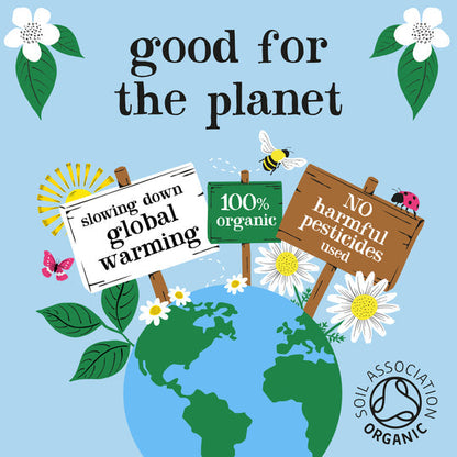 Clipper Organic Berry Burst Infusion Enveloped (250)