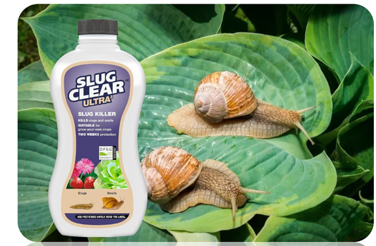Slug & Snail Clear Ultra Pellets 685g by Evergreen