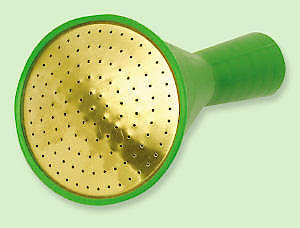 Oval Plastic - Medium