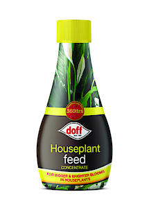 Houseplant Feed 180ml *DISCO*