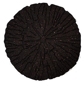 Eco Garden Cracked Log Recycled Rubber Stepping Stone, Earth, Pack Of 1