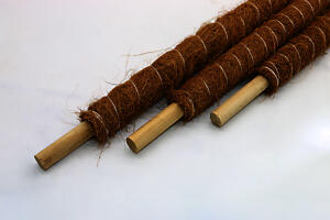 Moss Pole | Coir Grow Pole 100 Cm | Plant Support