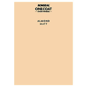 P&S ONE COAT EVERYWHERE ALMOND