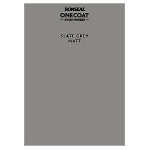 P&S ONE COAT EVERYWHERE SLATEGREY