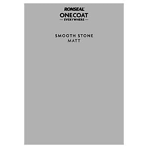 P&S ONE COAT EVERYWHERE SM STONE