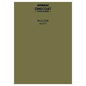 P&S ONE COAT EVERYWHERE WILLOW