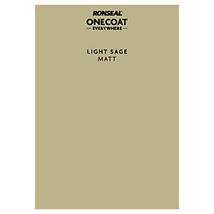 P&S ONECOAT EVERYWHERE LIGHT SAGE