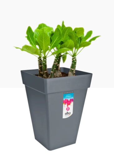 Elho Loft Urban Square High 30cm Planter ANTHRACITE