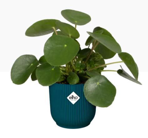 Elho Vibes Fold Display Pot 25cm DEEP BLUE