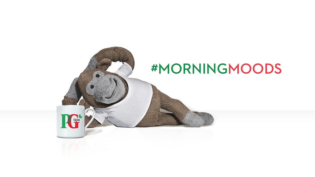 PG Tips One Cup Catering Teabags 1100s {2025 Offer Price}