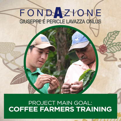 Lavazza Tierra Brasile Premium Blend Coffee Beans 1kg