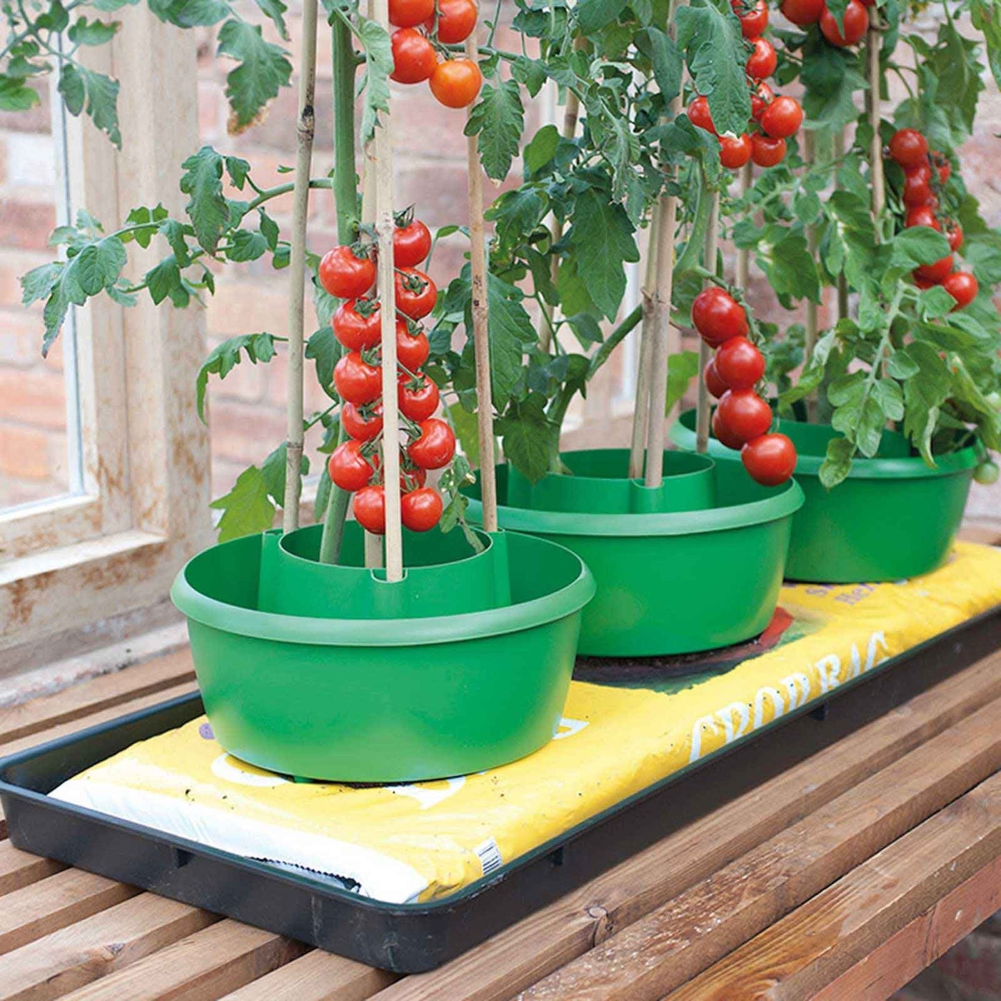 Hygeia Power Grow Concentrated Tomato Food 1 L