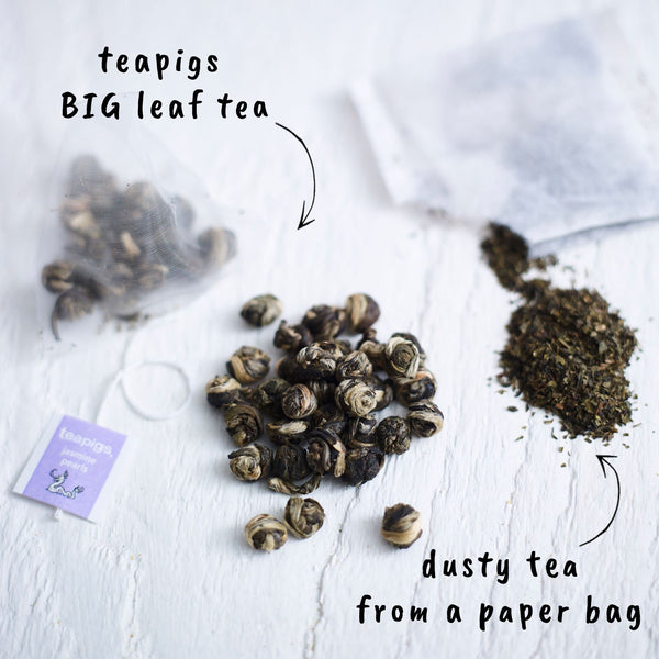 Teapigs Jasmine Temples Pearls Tea Bags Made With Whole Leaves(1 Pack of 50 Tea Bags)