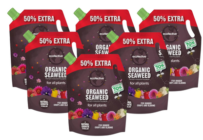 Ecofective Organic Liquid Seaweed For All Plants, (50% Extra FREE), 1.2L Pouch
