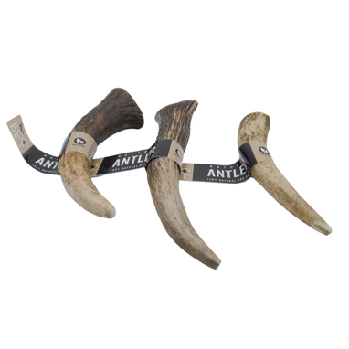 Eco Pet Large Antler Real Red Deer (Elk) Dog Chew