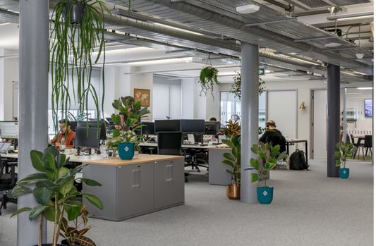 Fixtures Artificial Green Variegated Leaf Croton Tree 75cm