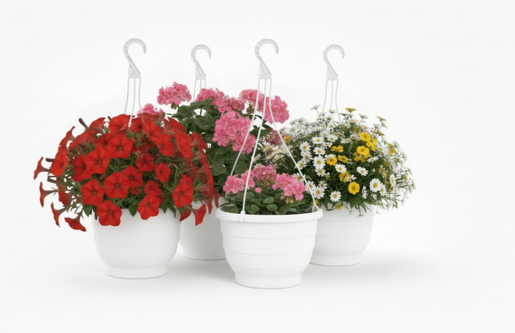 Fixtures White Garden Hanging Basket 25cm x 16cm
