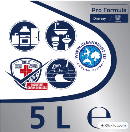 Domestos Professional Bleach 5 Litre VDLDO5