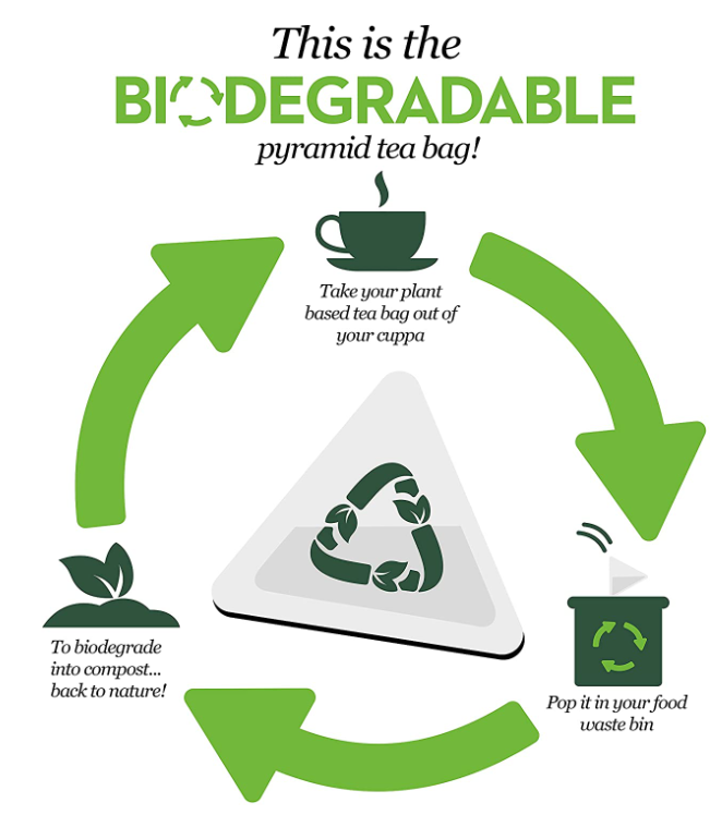 PG Tips String & Tagged Tea Bags 100s - UK BUSINESS SUPPLIES