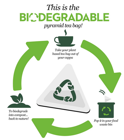 PG Tips String & Tagged Tea Bags 100s - UK BUSINESS SUPPLIES