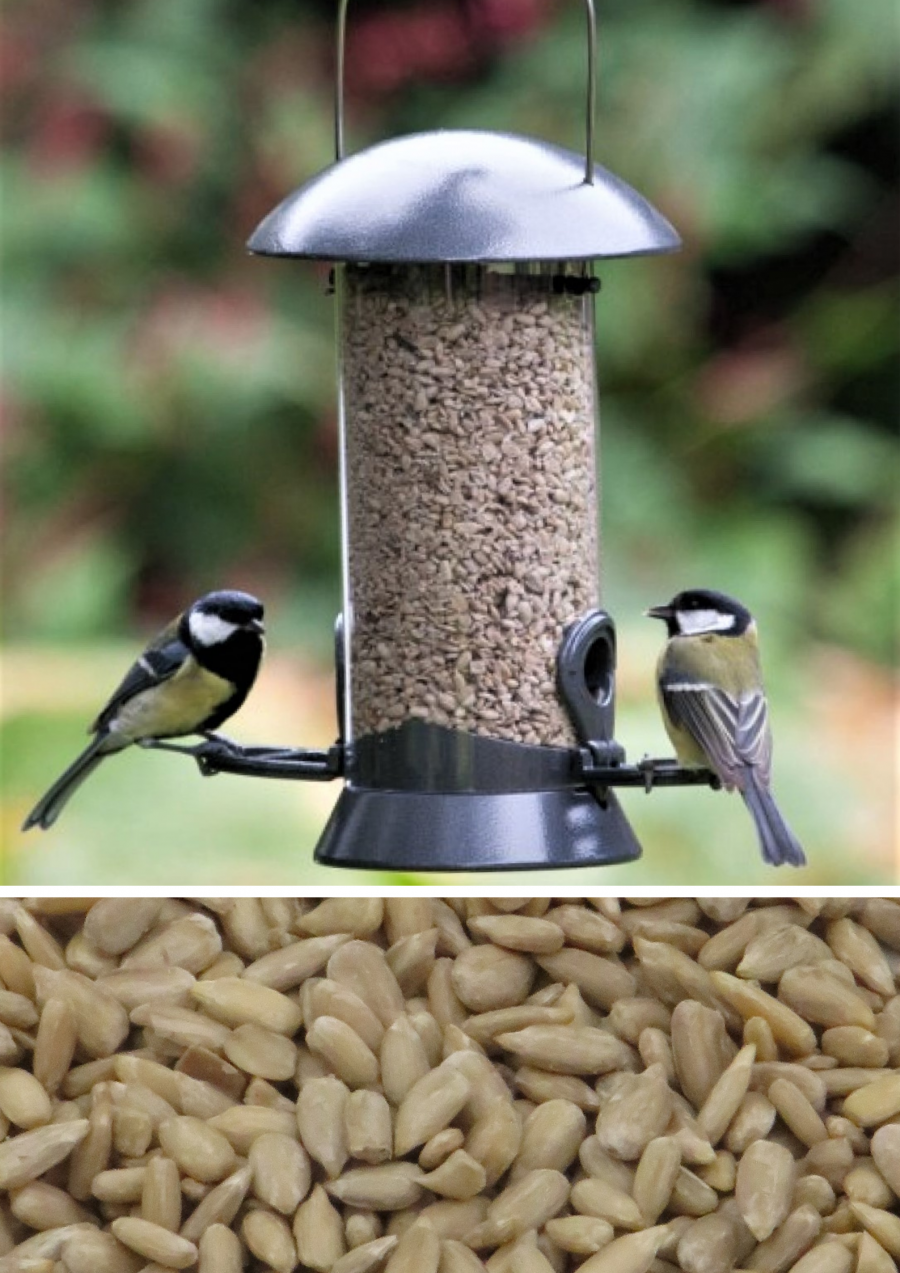 Johnston and Jeff Sunflower Hearts Bird Food Tub | 1 x 10L