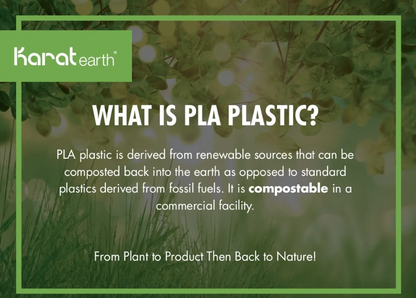 Belgravia Black PLA Bio Plastic Bendy Straws, 8 Inch Pack 250