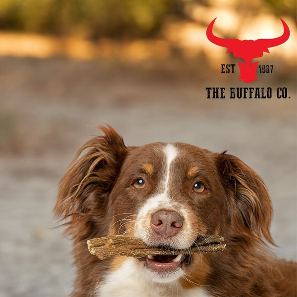 Buffalo Tripe | 100% Natural Grass-Fed Dog Treats | 1 x 100g