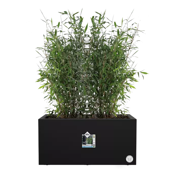Elho Vivo Next Living Black Long Planter 60cm