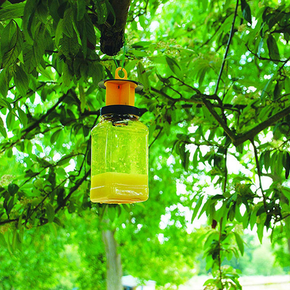 Zero-In STV Fly Catcher Traps | Twin Pack with Bait Zero | 2 Weeks Protection