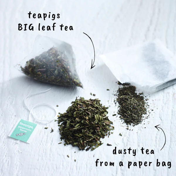 Teapigs Peppermint Whole Leaf Tea Temples Bags 50's