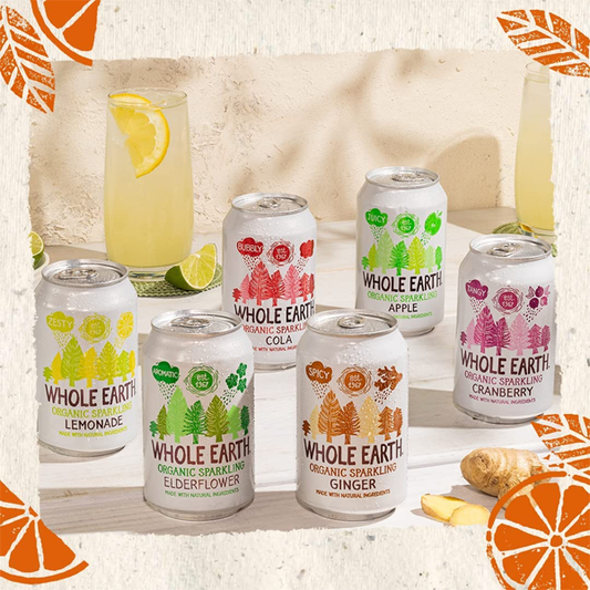 Whole Earth Organic Sparkling Ginger 24x330ml
