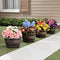 Fixtures Half Barrel Cask Brown 40cm x 27cm Medium Planter