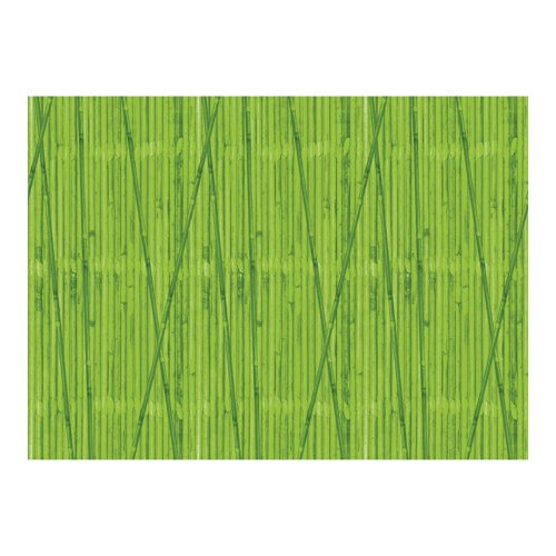 Bordette Fadeless Designs Poster Paper Rolls 1218mm x 3.6m Assorted (Pack of 24) AR01313