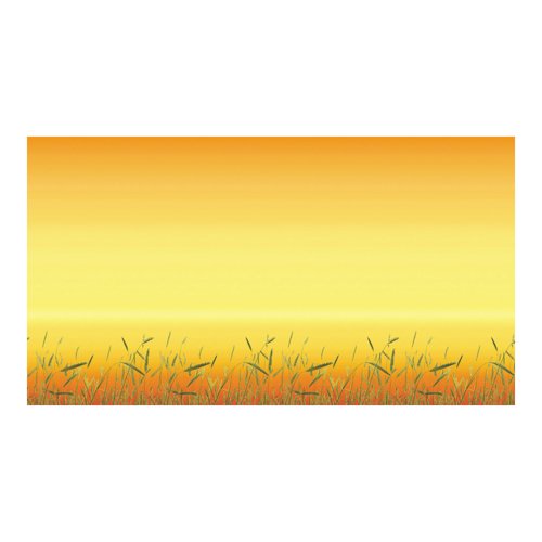 Bordette Fadeless Designs Poster Paper Rolls 1218mm x 3.6m Assorted (Pack of 24) AR01313