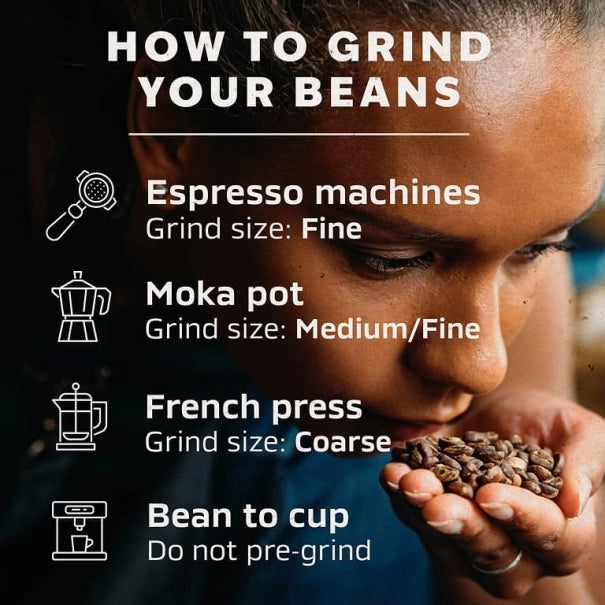 Nescafe Barista Signature Blend Coffee Beans 1kg