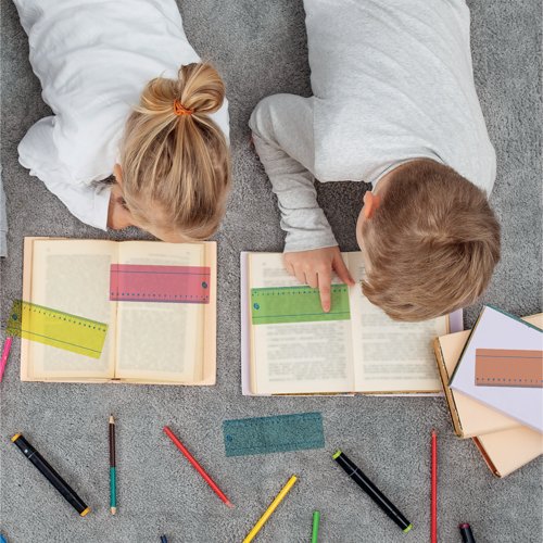 Pukka Pad Pukka Irlen Reading Ruler IRLOVERLAY