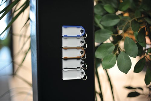 Pavo Magnettag Magentic Key Fobs Assorted (Pack of 10) DF77901