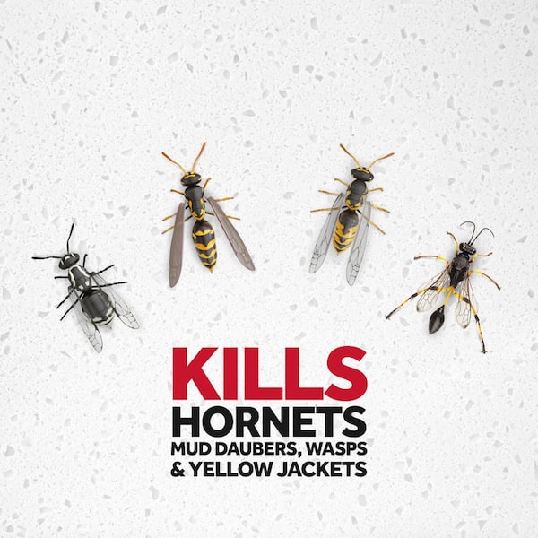 Fly Clear Wasp & Hornet Killer 400ml