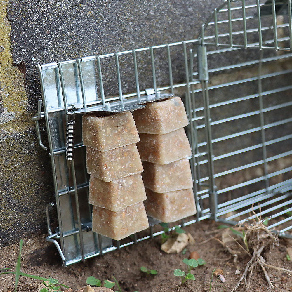 The Big Cheese, Poison-Free, Mouse & Rat Block Bait 10g x 30 | STV201