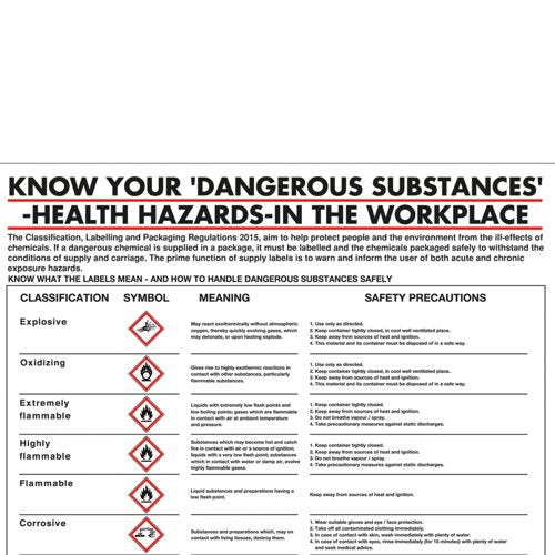 Health Hazards In The Workplace Poster 420X600mm PG23