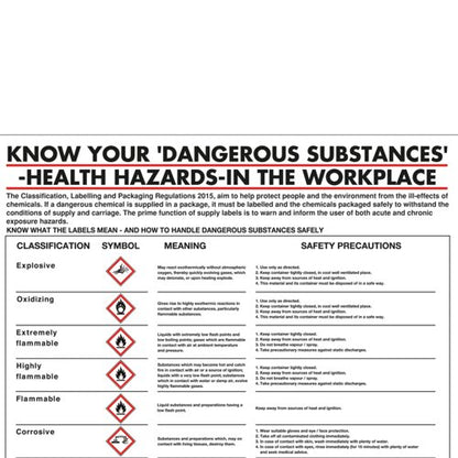 Health Hazards In The Workplace Poster 420X600mm PG23