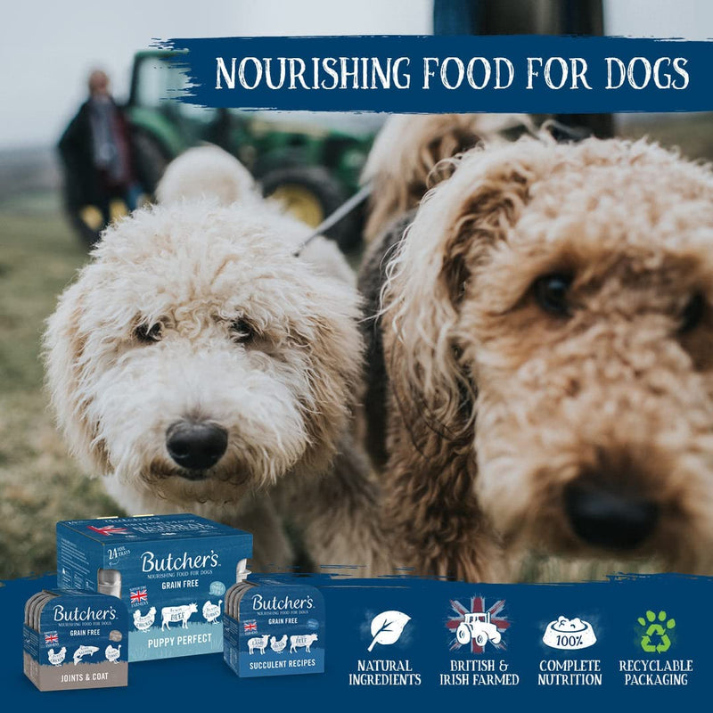 BUTCHER'S Grain Free Recipes in Gravy Wet Dog Food Tin Cans Variety pack, 9.6kg (6 x 400g)