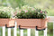 Elho Greens Basics Trough Large 60cm TERRACOTTA