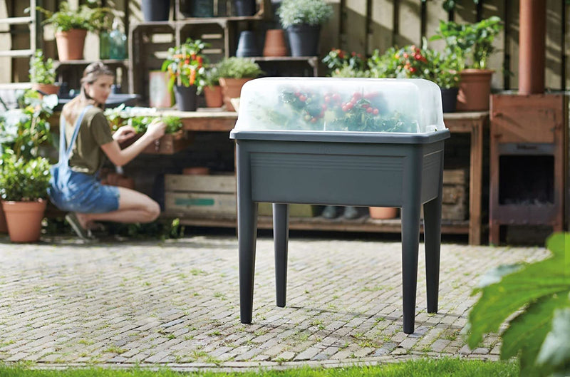 Elho Transparent XXL Grow House