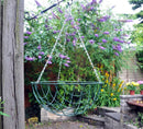 Fixtures X-Large 16" Wire Hanging Basket
