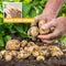 Vitax Organic Potato Fertiliser 4.5KG Tub