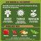 New Horizon All Vegetable Compost 50 Litre
